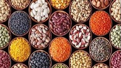 أسعار البقوليات اليوم الجمعة 15-4-2022 في القليوبية 