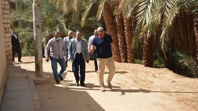 محافظ الوادي الجديد يدعم تطوير مدخل قرية المنيرة بالخارجة 