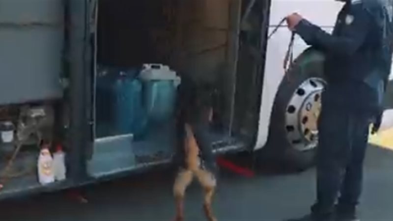 إحباط تهريب كمية