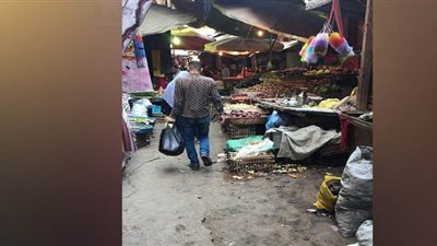 أسواق كفر الدوار مستمرة رغم حملات مواجهة فيروس كورونا | صور