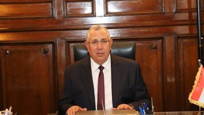 وزير الزراعة يعلن حصاد محصول القمح الأسبوع القادم 