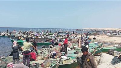 ضبط ٤ أشخاص خالفوا قرار منع الصيد ببحيرة البردويل