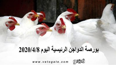 بورصة الدواجن الرئيسية اليوم 2020/4/8