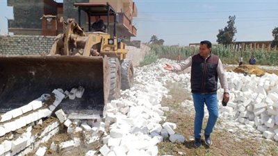 إزالة 9 حالات تعد على الرقعة الزراعية بكفر الدوار