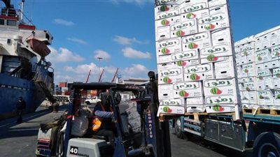 ميناء الإسكندرية: تدفق السلع الاستراتيجية والغذائية للميناء