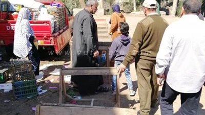 فض جميع الأسواق ومنع تجمعات الباعة الجائلين في الدقهلية| صور