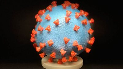 وفاة 23 وإصابة 500 فلسطيني حول العالم بكورونا