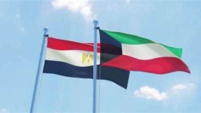 سيدة أعمال من أصول مصرية تتسبب في حالة جدل بالكويت