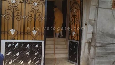 لحظة تطهير وتعقيم منزل أسرة ممرض مصاب بكورونا فى الباجور | صور