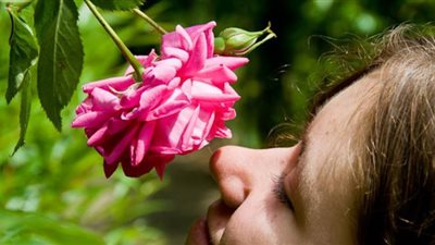 حقيقة انتقال فيروس كورونا من الزهور إلى الإنسان | فيديو