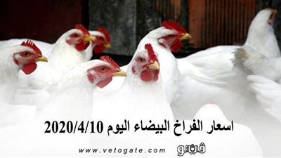 اسعار الفراخ البيضاء اليوم 2020/4/10