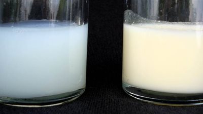 أطباء يبحثون عن علاج فيروس كورونا بحليب الثدي البشري