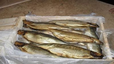 السلاسل التجارية تواصل تقديم عروض الرنجة والأسماك