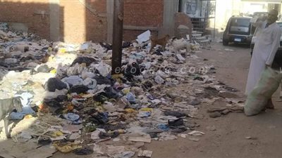 رغم توجهات الدولة بمحاربة كورونا.. انتشار أكوام القمامة وسط مدينة أسوان | صور