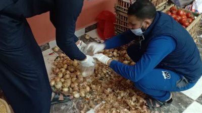 مركز شباب برشوم الكبرى بطوخ يوفر الخضراوات والفاكهة للمواطنين | صور