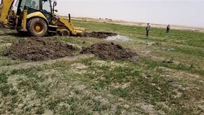 تنفيذ 21 قرار إزالة تعديات خلال حملة مكبرة بالوادى الجديد | صور