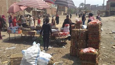 إزالة سوقين للباعة الجائلين بالخانكة حفاظا على المواطنين من كورونا