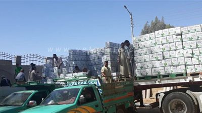 تضامن قنا: توزيع 15 ألف كرتونة مواد غذائية ومساعدات للأسر الفقيرة | صور