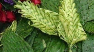 أحد الشعانين.. عندما يواجه الله خيانة البشر بالمحبة