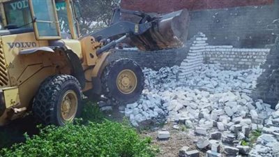 إزالة 97 حالة تعد على الأراضي الزراعية خلال فترة الحظر بالمنوفية | صور