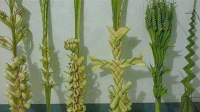 راعى كنيسة العذراء بالخارجة: نحتفل بأحد الشعانين فى المنازل منعا للاختلاط