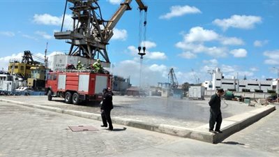 ميناء الإسكندرية يستقبل سفنا تجارية وسط تشديد الإجراءات الاحترازية من كورونا | صور