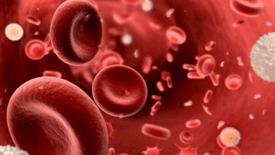 دراسة صينية: أصحاب فصائل الدم O أقل عرضة للإصابة بكورونا