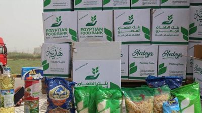 وصول 26 ألف كرتونة تموينية لتوزيعها على العمالة غير المنتظمة بسوهاج