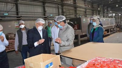 محافظ المنيا يتابع العمل بمصانع المنطقة الصناعية في المطاهرة | صور