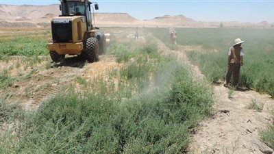 تنفيذ حملة إزالة على مساحة 966 فدان أملاك دولة في الوادي الجديد 