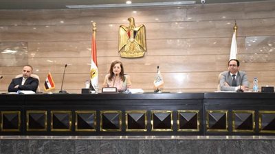 التخطيط: العمالة المتضررة من كورونا ستحصل على كارت للدخول في منظومة الشمول المالي