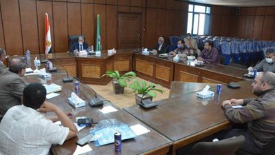 زراعة 249 ألف فدان قمح ولجنة لمعاينة مواقع استلام المحصول بالمنيا