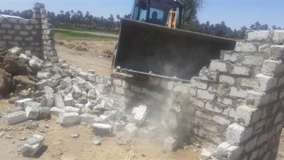 حملة لإزالة التعديات على أملاك الدولة والأراضي الزراعية بقنا | صور