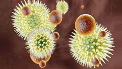 مرض إيبولا.. كيف تنتقل العدوى من إنسان إلى آخر؟