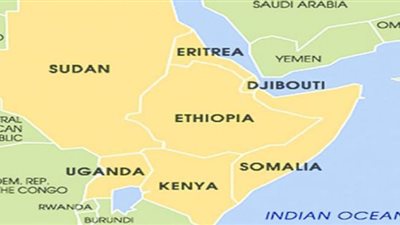 خبير أمني صومالي: إغلاق المدارس المصرية جزء من مشروع تركيا الإخواني