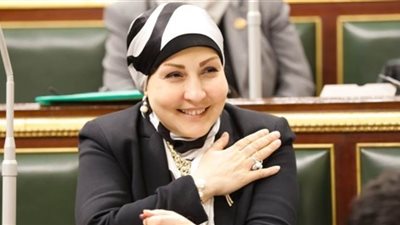 برلمانية: مبادرة القروض الاستثنائية طوق النجاة للمشروعات الصغيرة