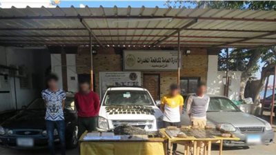 إحباط تهريب 230 طربة حشيش بقيمة 4.3 مليون جنيه بميناء شرق التفريعة