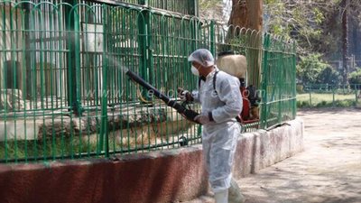 20 صورة ترصد تعقيم وتطهير حديقة الحيوان بالجيزة