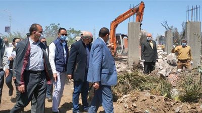 إزالة 500 حالة تعد واسترداد أكثر من 50 فداناً بالبحيرة | صور