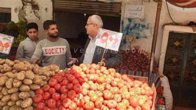 تشديد الرقابة على الأسواق وتحرير ٥ محاضر تموينية بالعريش| صور