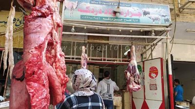 اسعار اللحوم والدواجن البيضاء والبلدية  اليوم فى الأسواق | صور