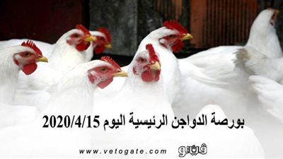 بورصة الدواجن الرئيسية اليوم 2020/4/15
