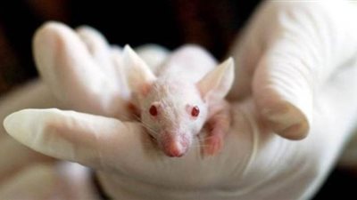 بعد اعتماد طريقة مختلفة.. 