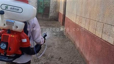 تطهير ألف منشأه و ١٦٠ شارعا و ٧ مواقف أجرة وموقع للعمل في قنا | صور