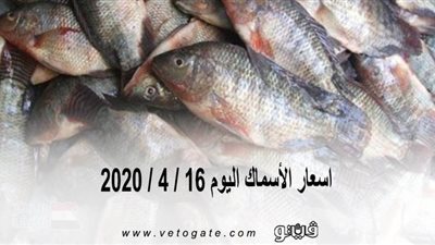 اسعار الأسماك اليوم 16 / 4 / 2020