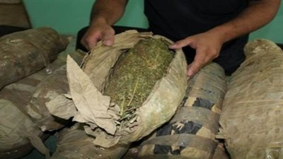 تجديد حبس عاطل بحوزته 20 كيلو بانجو داخل مسكنه