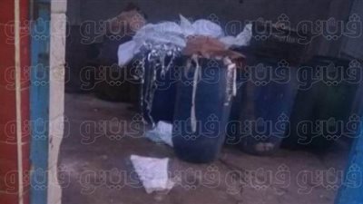 مصادرة 3 أطنان دواجن وأسماك فاسدة في الشرقية