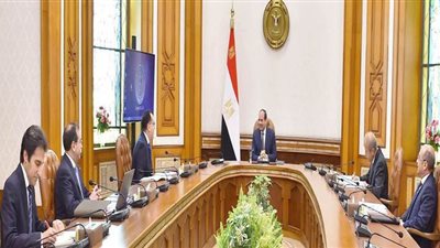 السيسي يبحث موقف سوق النفط العالمي في ضوء تداعيات انتشار كورونا| فيديو