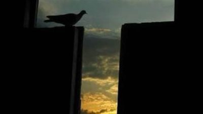 الجمعة العظيمة.. حين قدم المسيح للمحاكمة