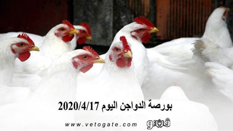 فيتو